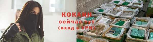 винт Лагань