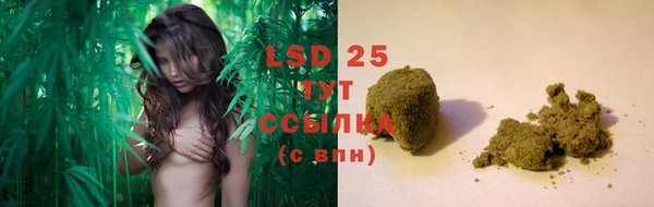 винт Лагань