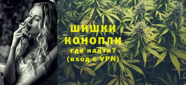 винт Лагань