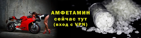 винт Лагань