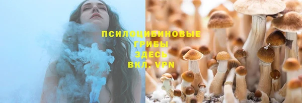винт Лагань