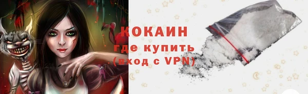 винт Лагань