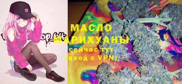 винт Лагань