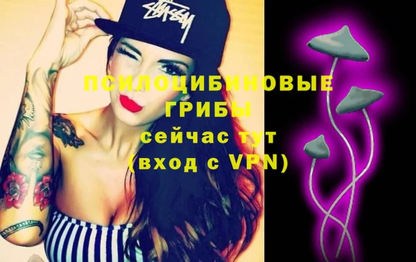 MDMA Premium VHQ Ладушкин