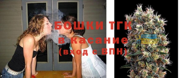 винт Лагань