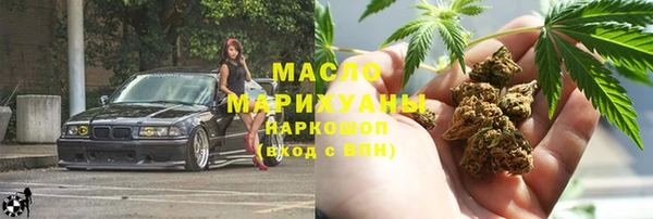 винт Лагань