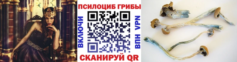 Купить  Октябрьск  Галлюциногенные грибы Psilocybe 
